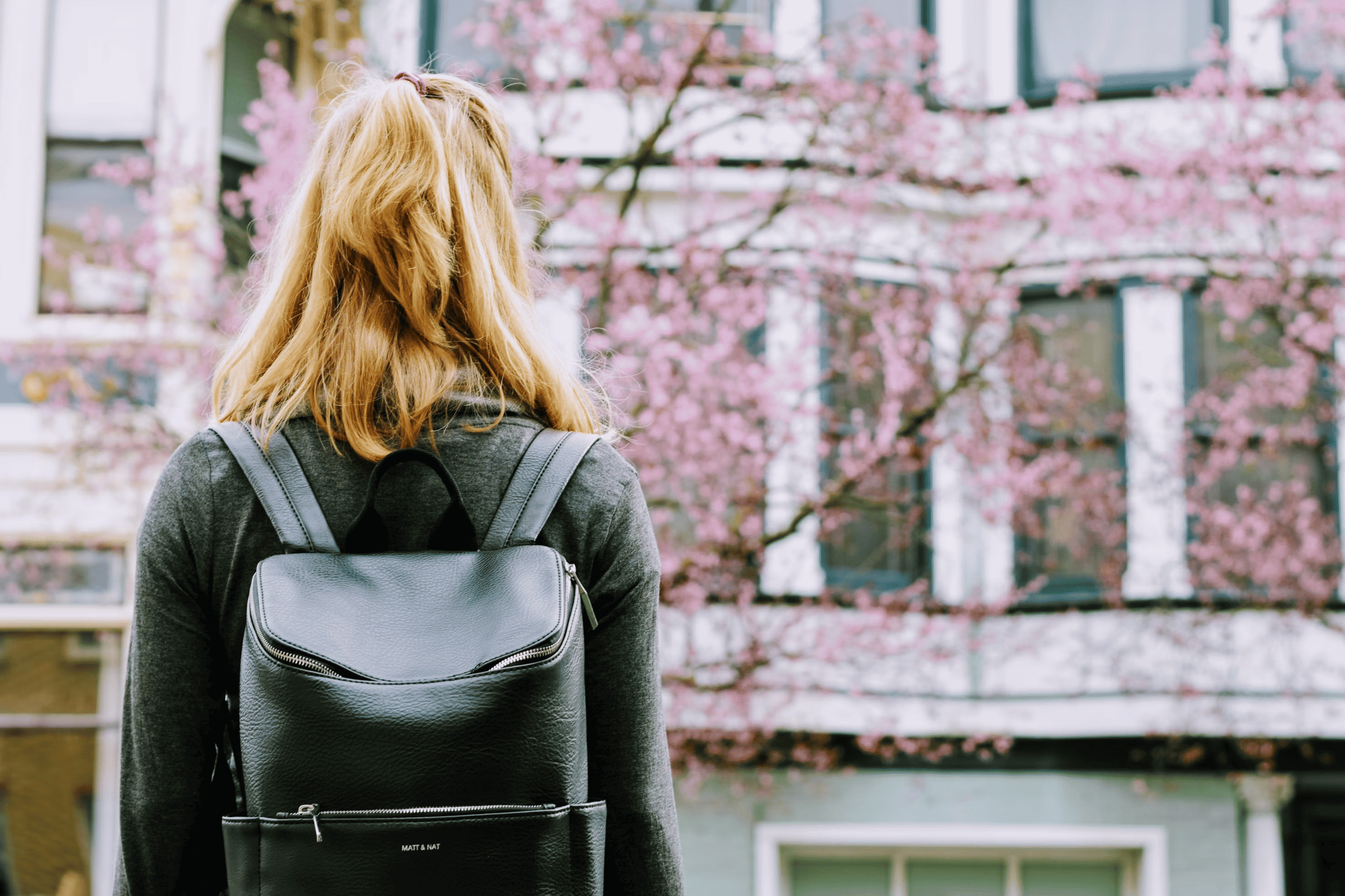 International Student Organizer