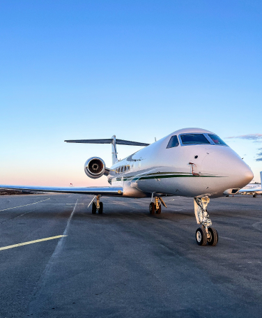 Luxury Trip & Travel